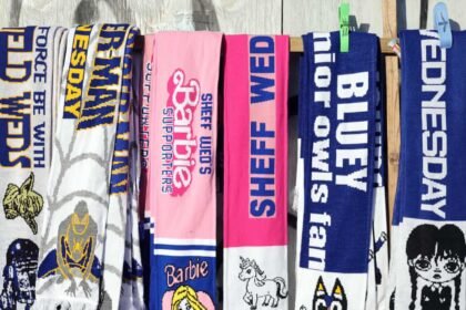 Sheffield Wednesday Takeover Stalled by EFL Funding Review