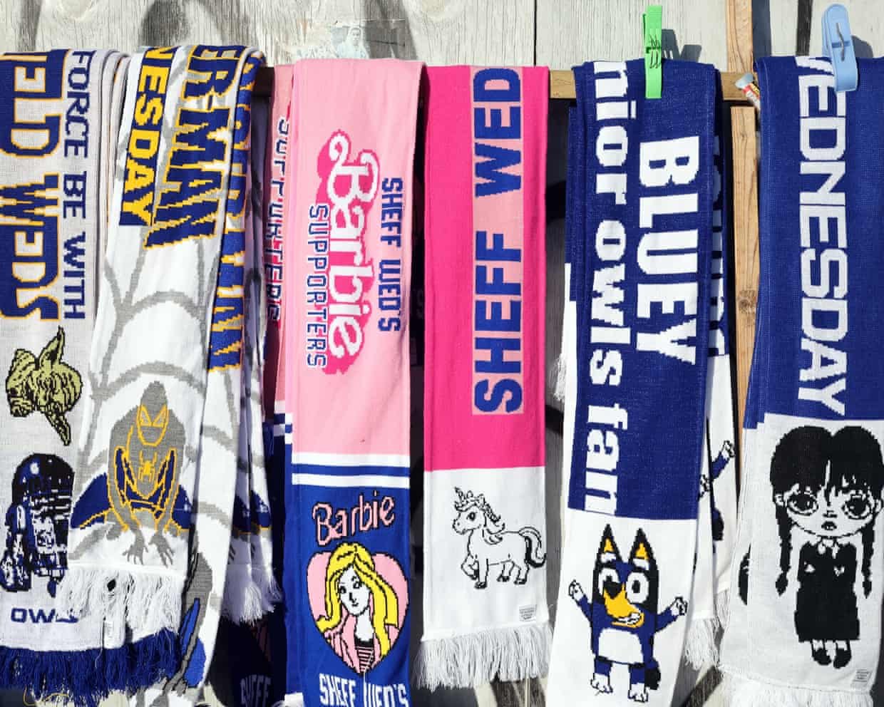 Sheffield Wednesday Takeover Stalled by EFL Funding Review