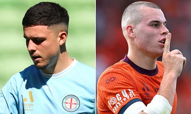 A-League Star Cleared in Racial Abuse Investigation