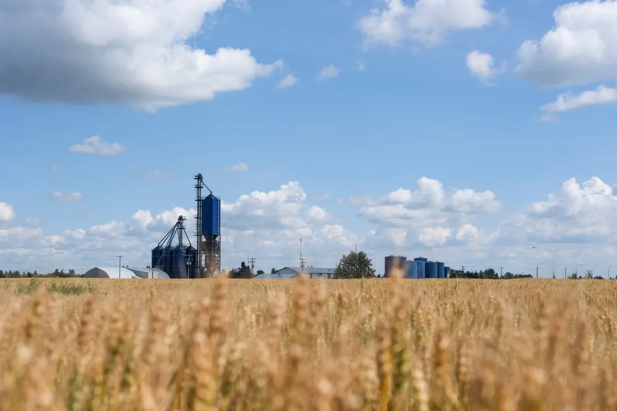 Invest Alberta CEO Exits Unexpectedly After Four Years