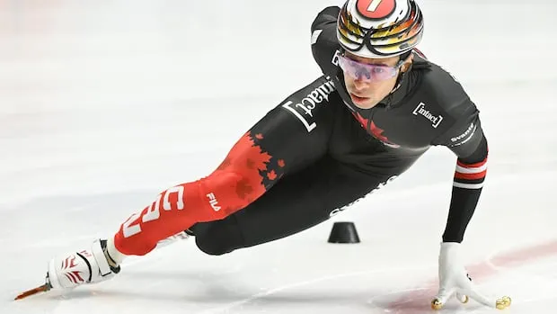 Olympics Viewing Guide: Daily Updates Simplify Winter Games