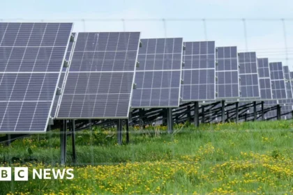 UK Awards Record Solar Farm Contracts in Renewables Auction
