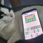 Wordle Answer & Hints Today #1733 – March 18, 2026