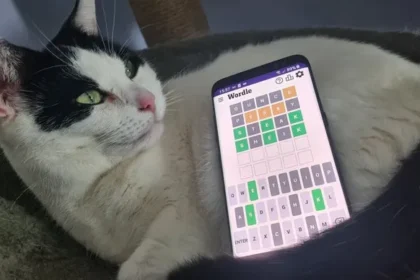 Wordle Answer & Hints Today #1733 – March 18, 2026