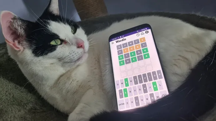 Wordle Hint & Answer #1699: February 12, 2026 Solution