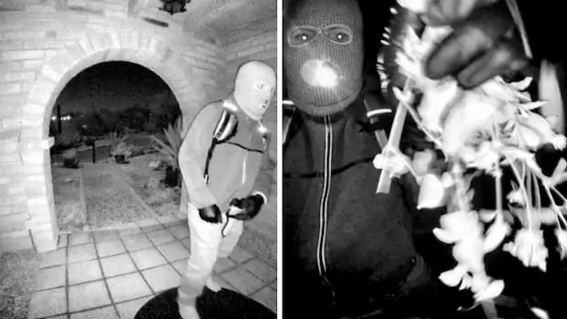 FBI Shares Suspect Details in Nancy Guthrie Disappearance