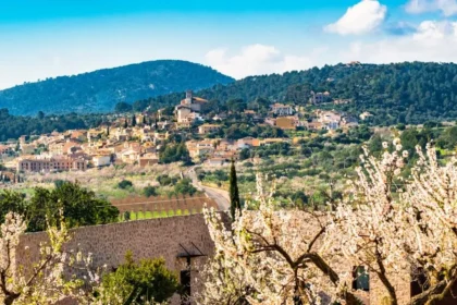 Mallorca Almond Blossoms: Cherry Alternative with £22 Flights