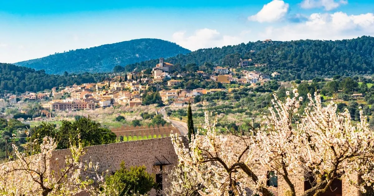Mallorca Almond Blossoms: Cherry Alternative with £22 Flights