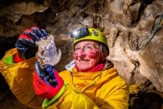 Ice Age Wolverine Jaw Unearthed in Yorkshire Dales Cave