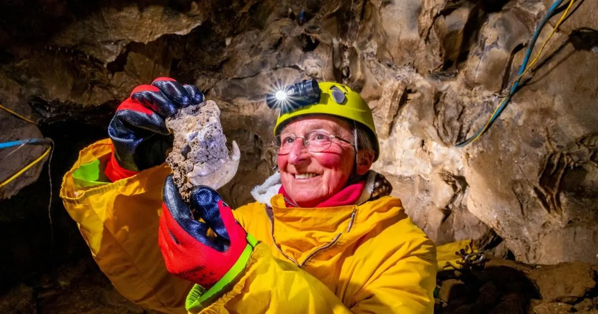 Ice Age Wolverine Jaw Unearthed in Yorkshire Dales Cave