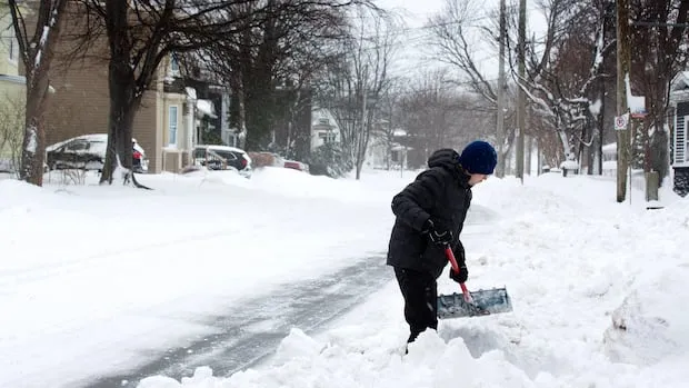 Heavy Snowstorm Shuts Down Newfoundland Schools, Offices Into Wednesday