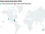 2025 Shark Attack Hotspots: Florida Leads Worldwide Encounters