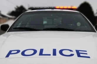 Sudbury Man Charged in Animal Cruelty Case After Viral Dog Kicking Video