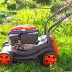 Mid-March 2026: Ideal Time for First UK Lawn Mow