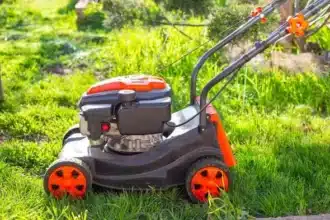 Mid-March 2026: Ideal Time for First UK Lawn Mow