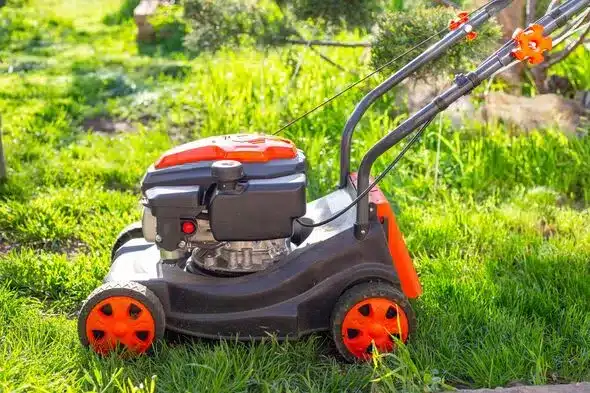 Mid-March 2026: Ideal Time for First UK Lawn Mow