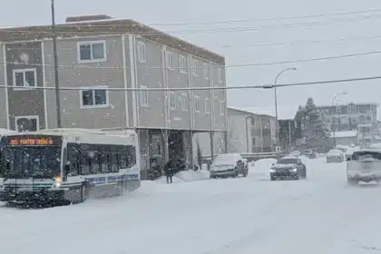 Yukon Police Issue Road Warnings After Snowstorm Forces Vehicles Off Alaska Highway