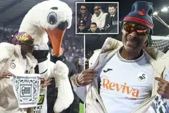 Snoop Dogg Sparks Frenzy at Swansea’s Record Crowd in Dramatic Draw