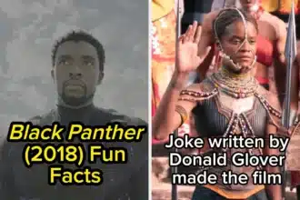 21 Surprising Black Panther Facts That Transform Your Viewing Experience