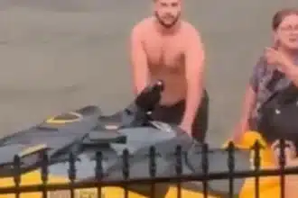 Sydney Street Turns to River in Flash Floods, Jet Ski Rescues Neighbors