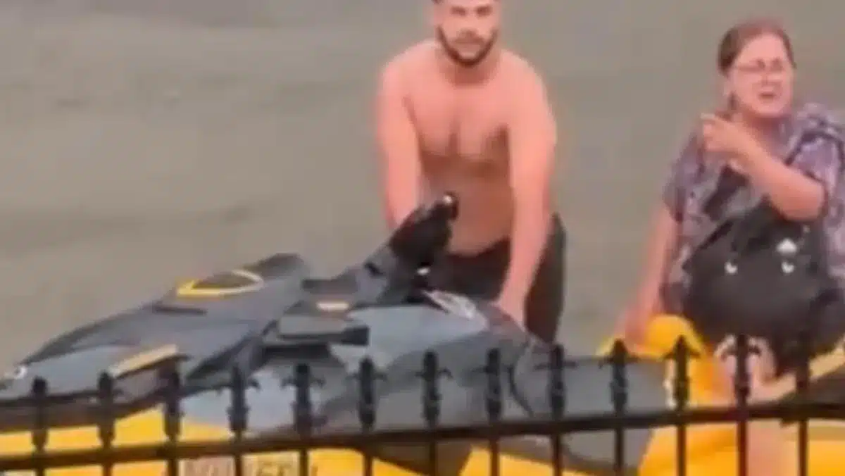 Sydney Street Turns to River in Flash Floods, Jet Ski Rescues Neighbors