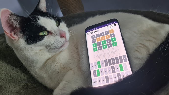 Wordle Hint and Answer #1688 for February 1, 2026