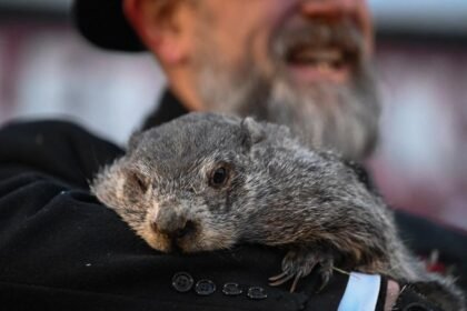 Punxsutawney Phil’s Groundhog Day: History and Prediction Explained