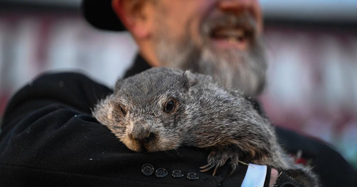 Punxsutawney Phil’s Groundhog Day: History and Prediction Explained