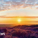 Norfolk Wildlife Trust Celebrates 100 Years with Free Nature Weekend