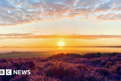 Norfolk Wildlife Trust Celebrates 100 Years with Free Nature Weekend