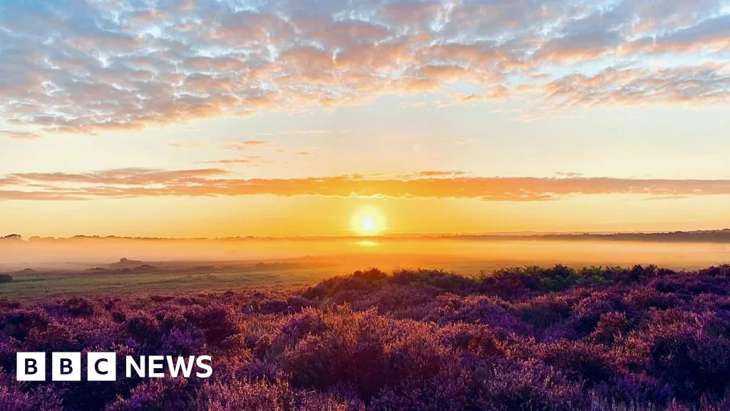 Norfolk Wildlife Trust Celebrates 100 Years with Free Nature Weekend