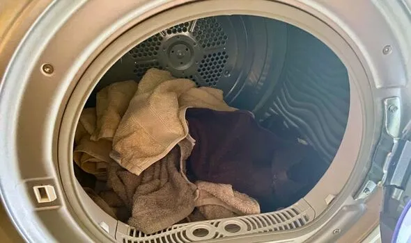 Tumble Dryer Hack: Dry Towel Cuts Clothes Drying Time by 15 Minutes