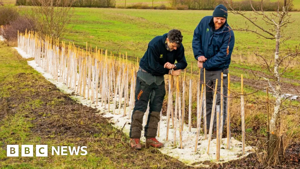 Wimpole Estate Launches Major 10-Year Hedgerow Restoration