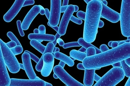 3D-Printed Patches Advance Healing of Chronic Wounds