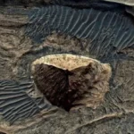 Mysterious Three-Sided Pyramid on Mars Sparks Alien Theories