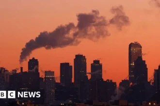 US States, Cities Sue Trump Over Greenhouse Gas Threat Repeal