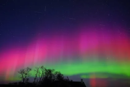 SpaceX’s 1M Satellites Plan Risks Overwhelming Night Skies Globally