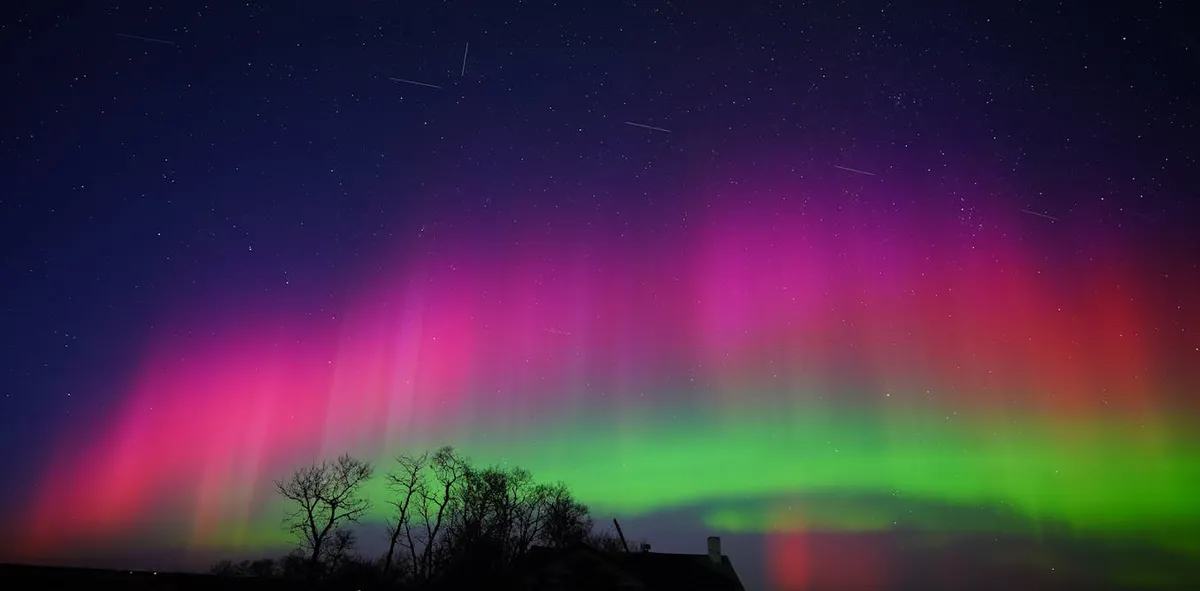 SpaceX’s 1M Satellites Plan Risks Overwhelming Night Skies Globally