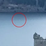 Loch Ness Monster? Fast Creature Filmed Surfacing in Loch Waters