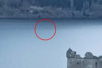 Loch Ness Monster? Fast Creature Filmed Surfacing in Loch Waters