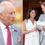 Why King Charles Delayed Meeting Newborn Prince Archie