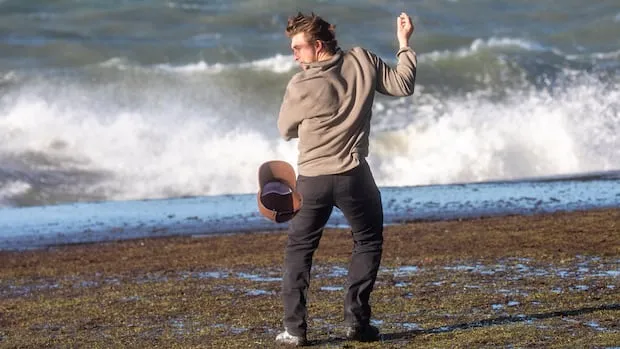 High Winds Disrupt B.C.: Thousands Without Power Provincewide