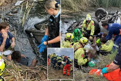 Farmer Rescues Driver Trapped in Creek for 3 Days After Ute Crash