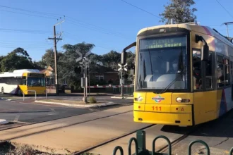 SA Treasurer Rejects Free Public Transport Amid Fuel Surge