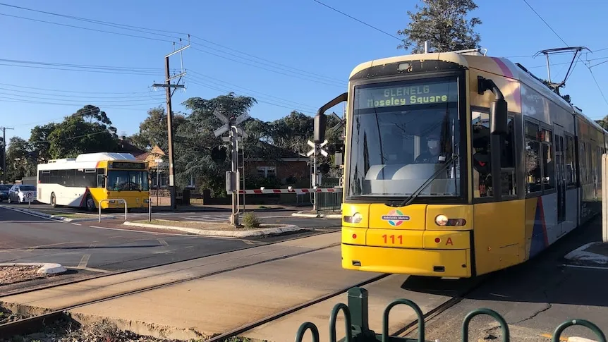 SA Treasurer Rejects Free Public Transport Amid Fuel Surge