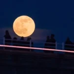 Pink Moon 2026: UK Peak at 3:12am April 2 Viewing Guide