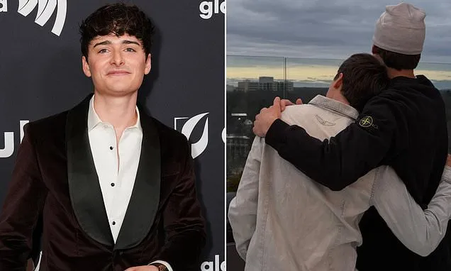 Noah Schnapp Shares New Boyfriend on Instagram 3 Years After Coming Out