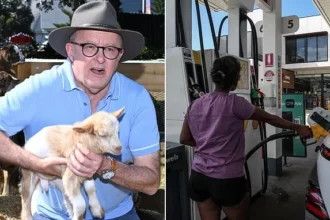 Aussies Blast Albanese Easter Message for Ignoring Fuel Crisis