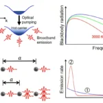 Quantum Collapse Mechanism in Real Environments Revealed