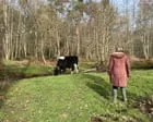 Thirty Years After Newbury Protests: A Walk in The Chase Reserve